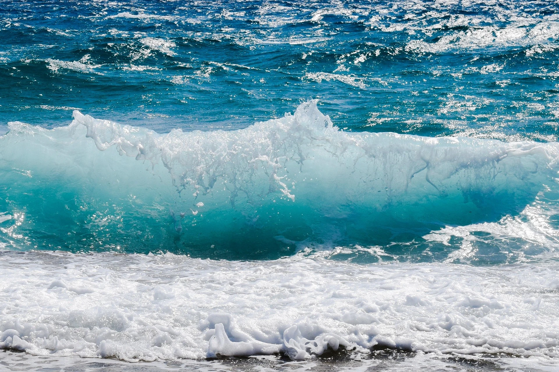 IMG-BLOG
